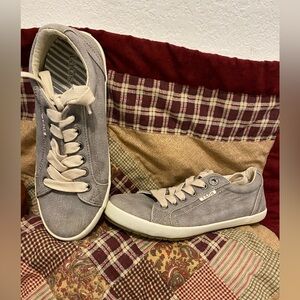 TAOS Women’s “Star Canvas Lace Up Sneakers” Size 6 Gray/Cream Curve Footbed EUC